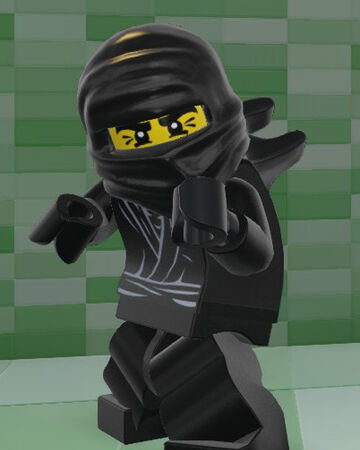 Ninja.jpg