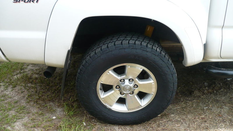 Nittos.jpg