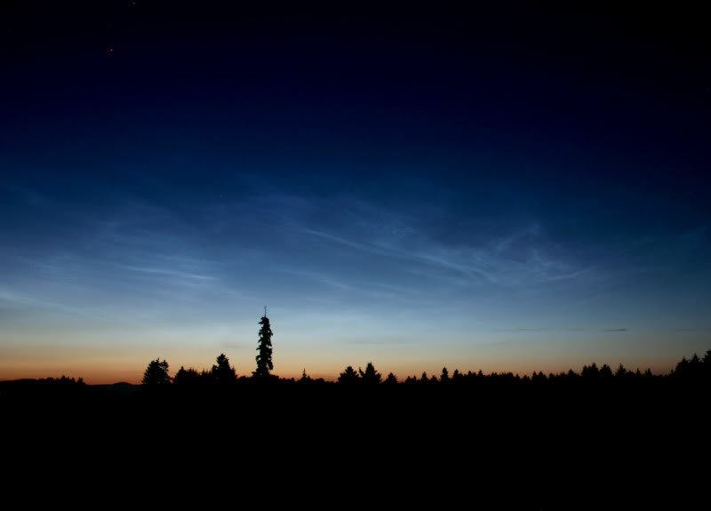 NLC1_32b2af18ae409164bcef5d65e1a727330f8b5340.jpg