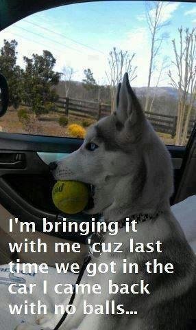No balls.jpg