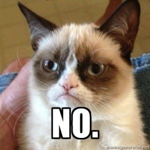 No grumpy cat.jpg