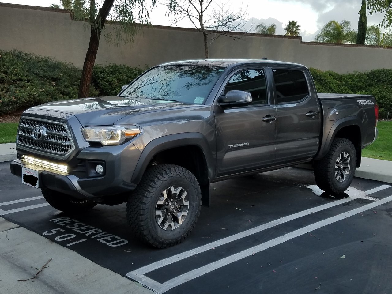 no plate.jpg