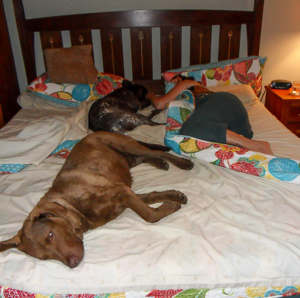no room.jpg