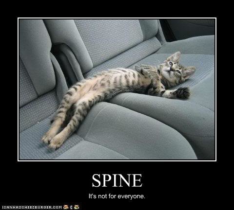 no spine.jpg
