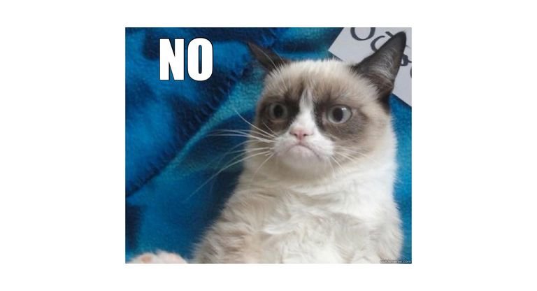 Nogrumpycat-5ae79bb7c5542e00390dd621.jpg