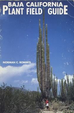 nomad022_077976d08c435c0f9b56b622fecfd5abe57b35c9.jpg
