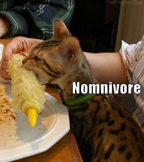 Nomnivore_a739783c56cc59e63d7fee8c7b0bd9086aff8f98.jpg