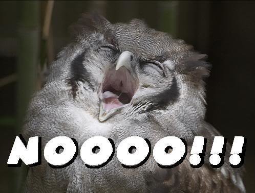 Noooo_0589da0cb9267458e8228a538d0a4bcb79160c67.jpg