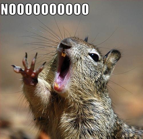 noooo_zps50ed95ed_abaaf803ede6548724e257ddf07e3aedf1f5eaca.jpg