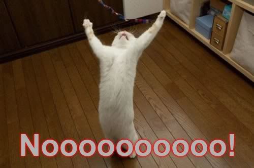nooooooooo_ad00ce661963ad8c82656529436e01b84ca27ca7.jpg