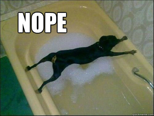 Nope.jpg