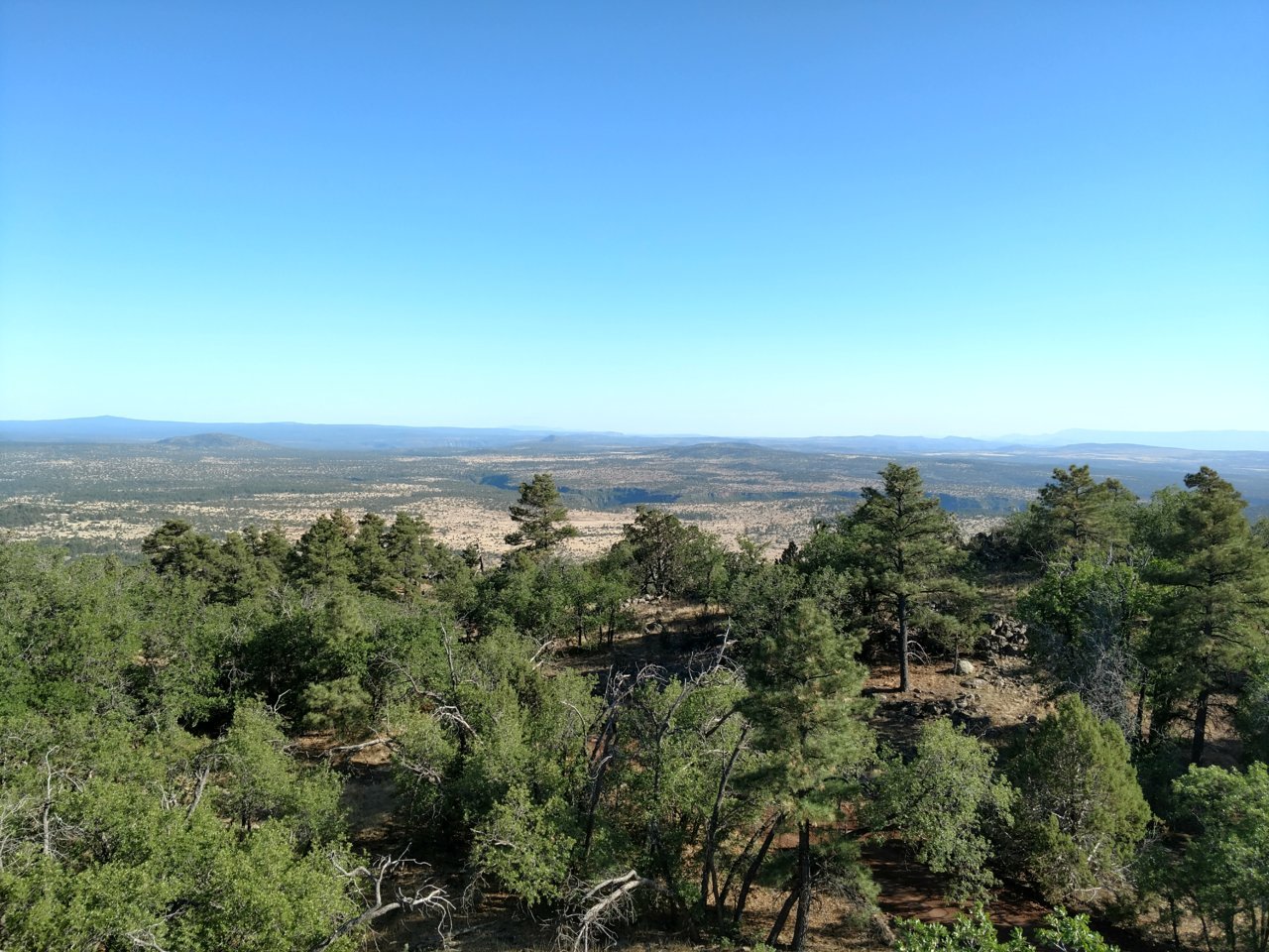 North Rim 143.jpg