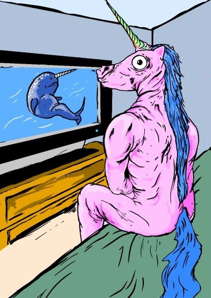 norwhal.jpg