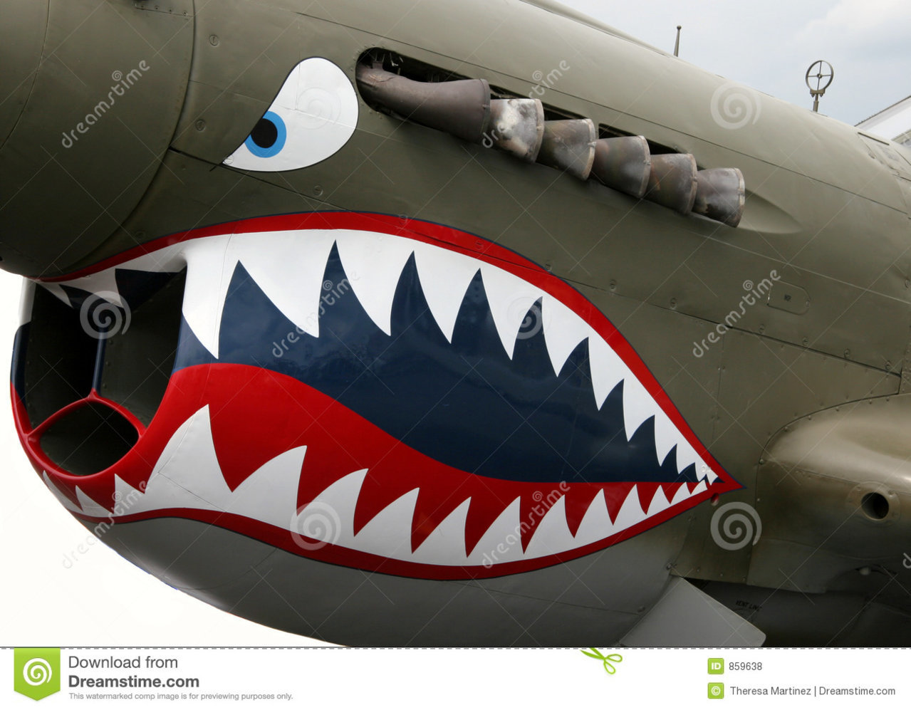 nose-art-859638.jpg