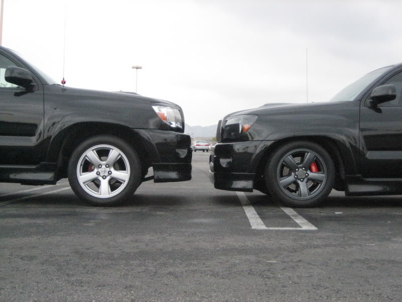 Nose2nose_f505f2eb08c29a1c9bcba176289361ab57bd5ddb.jpg