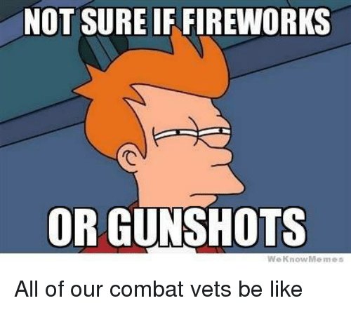 not-sure-if-fireworks-or-gunshots-we-know-memes-all-486532.jpg