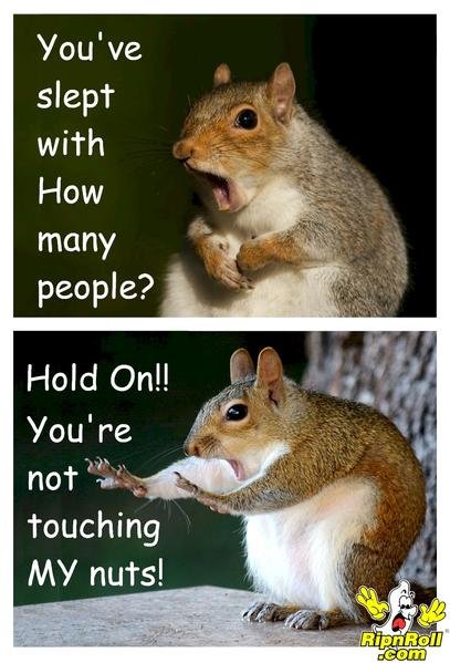 not_my_nuts_grande.jpg