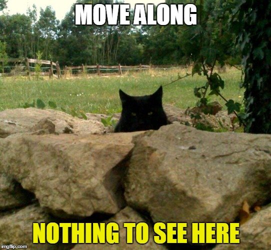 Nothing2.jpg