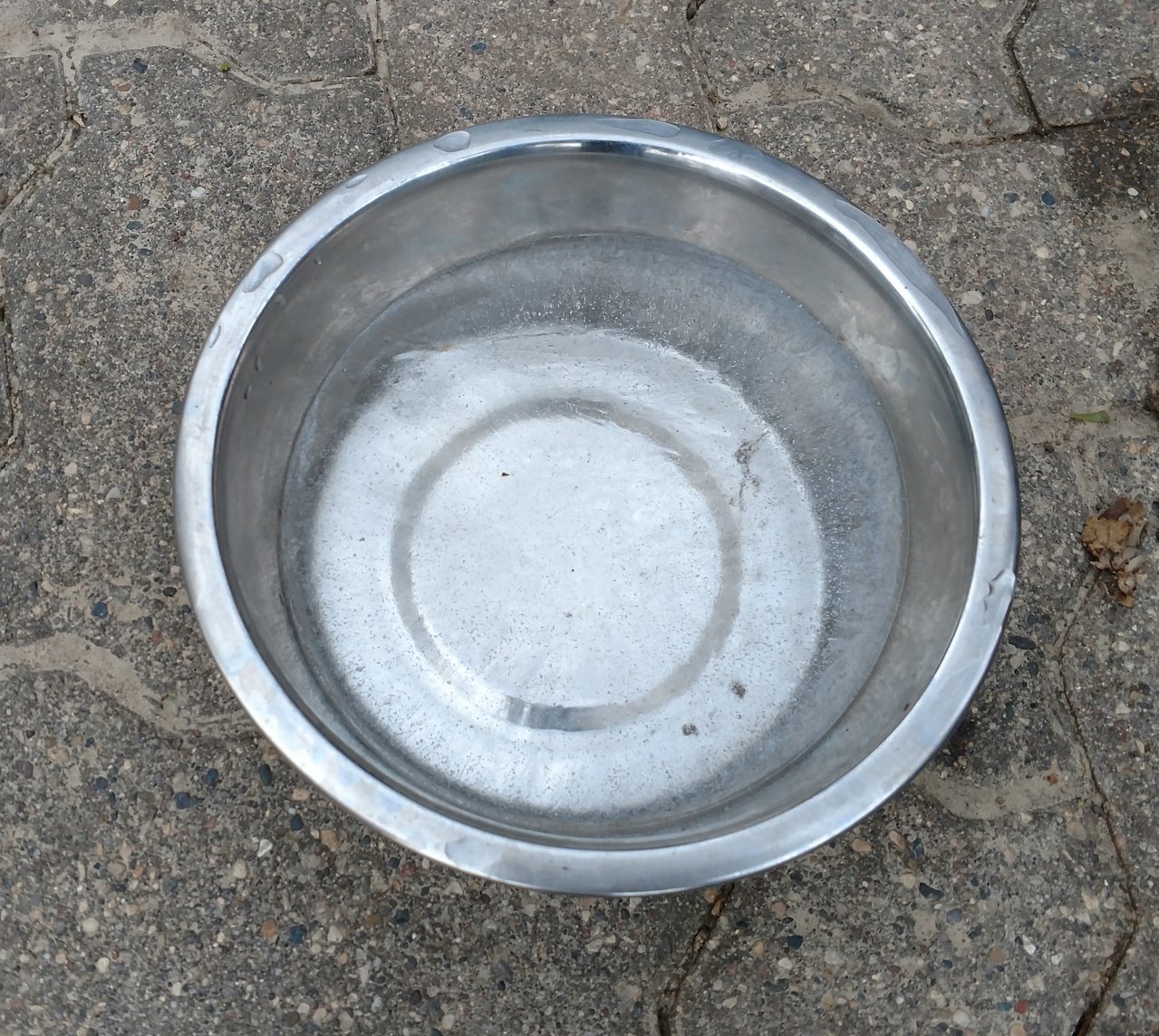 Nov 1 2017 water bowl.jpg