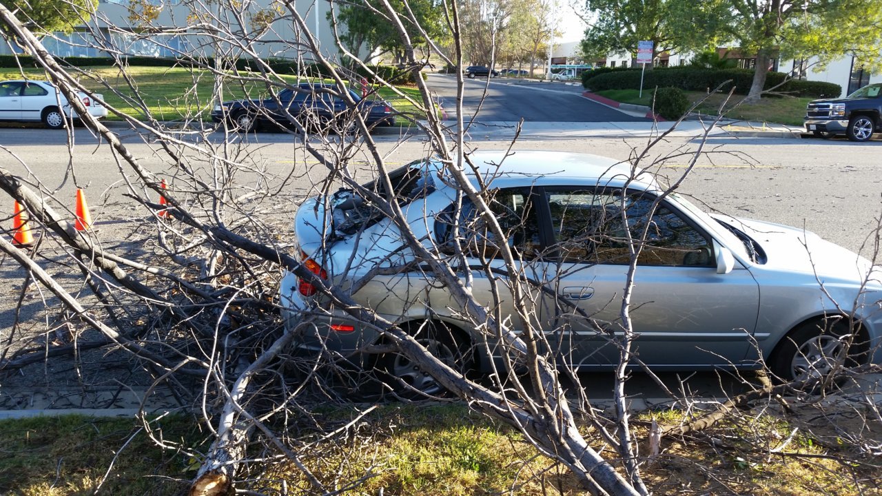 Nov. 16, 2015. My tree-kissed car at work. 009.jpg