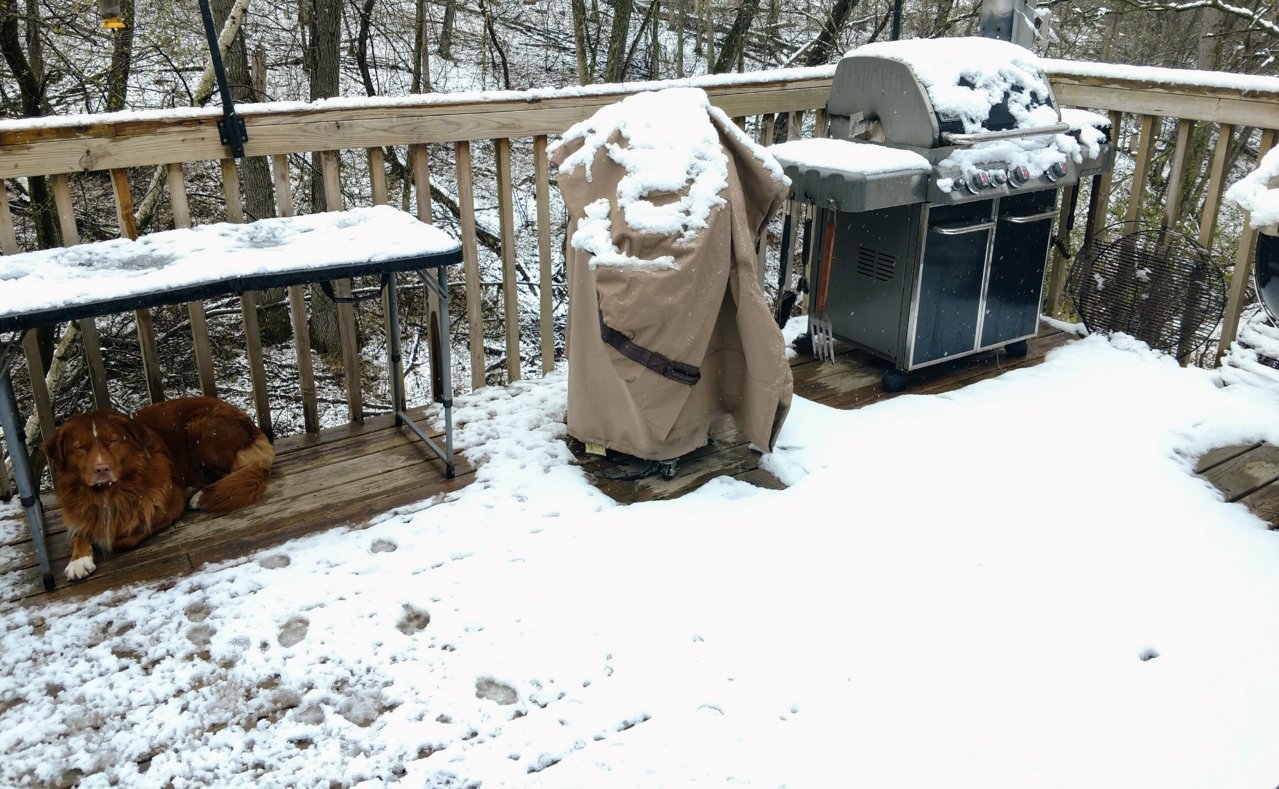 Nova grills.jpg