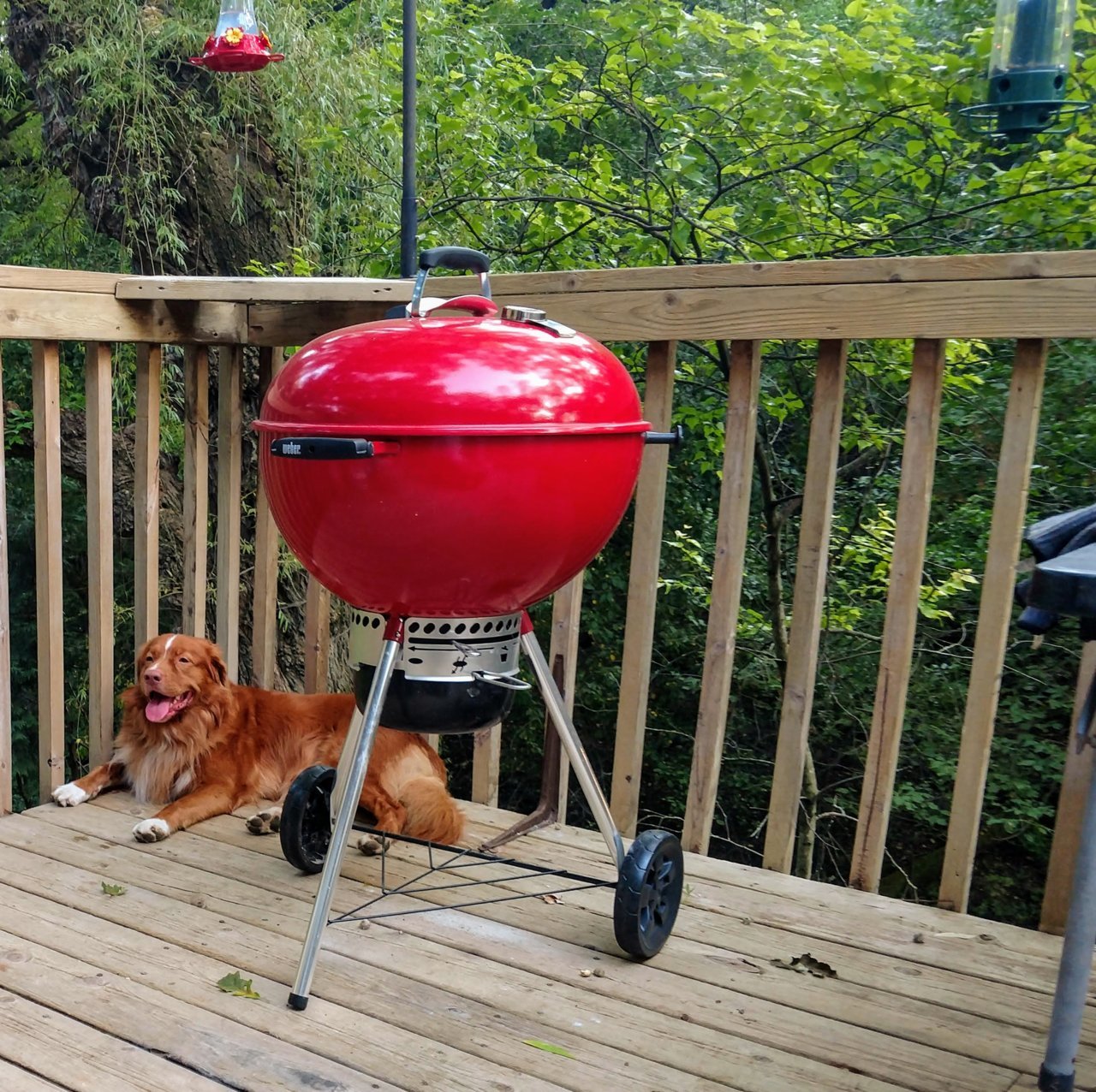 Nova Kettle.jpg