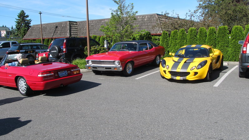 Nova & Lotus.jpg