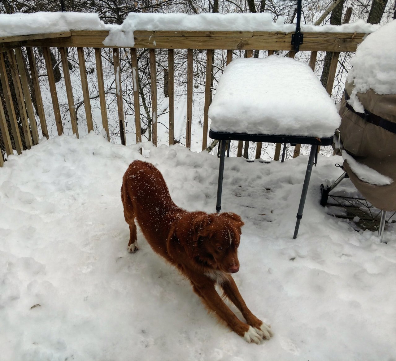 Nova snow.jpg