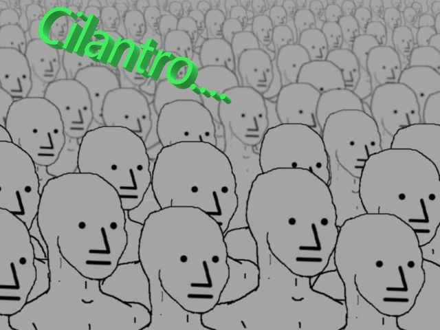 npccilantro.jpg