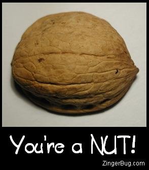 nut1.jpg