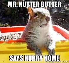 nutter butter.jpg