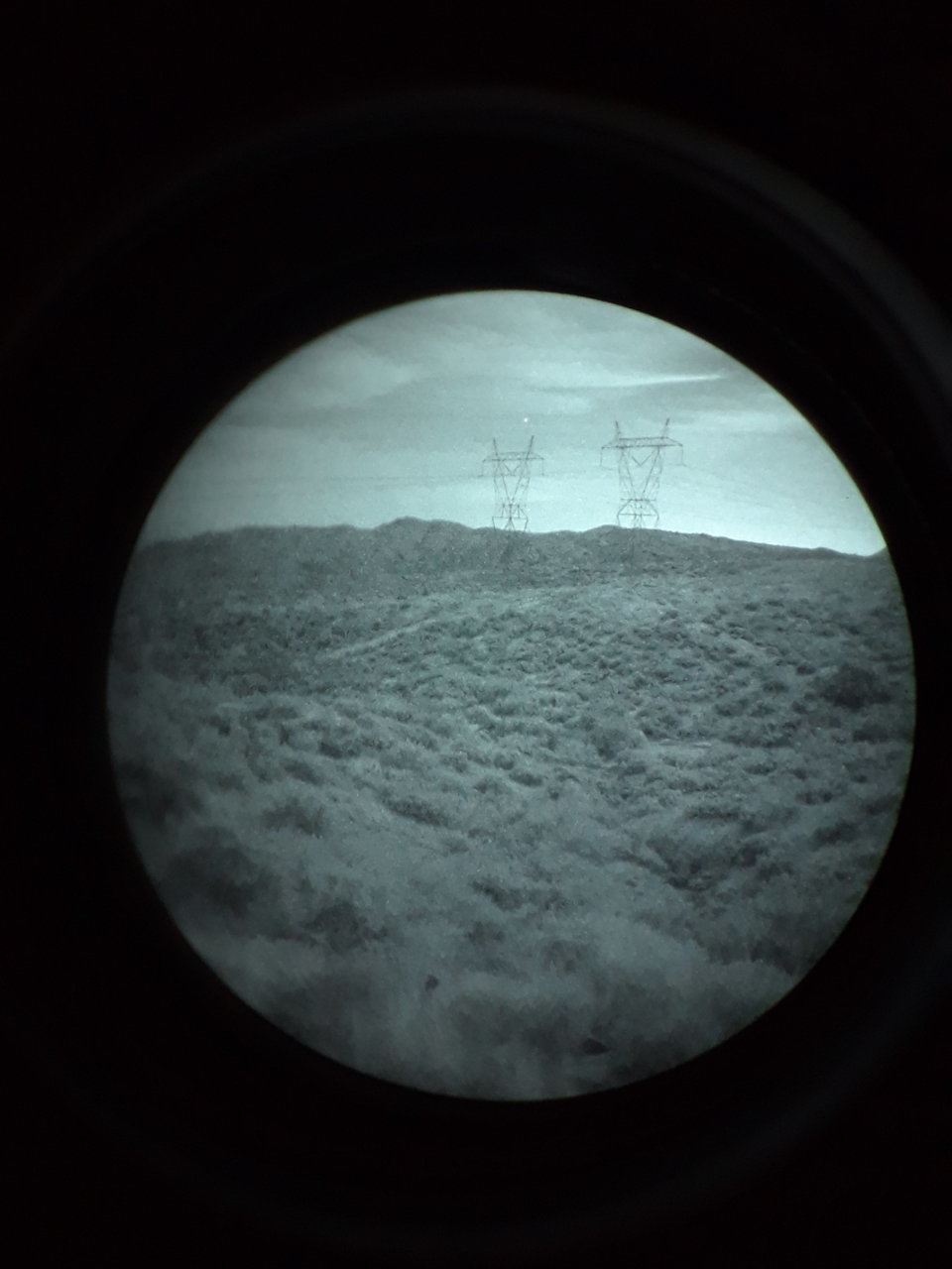 nvg.jpg