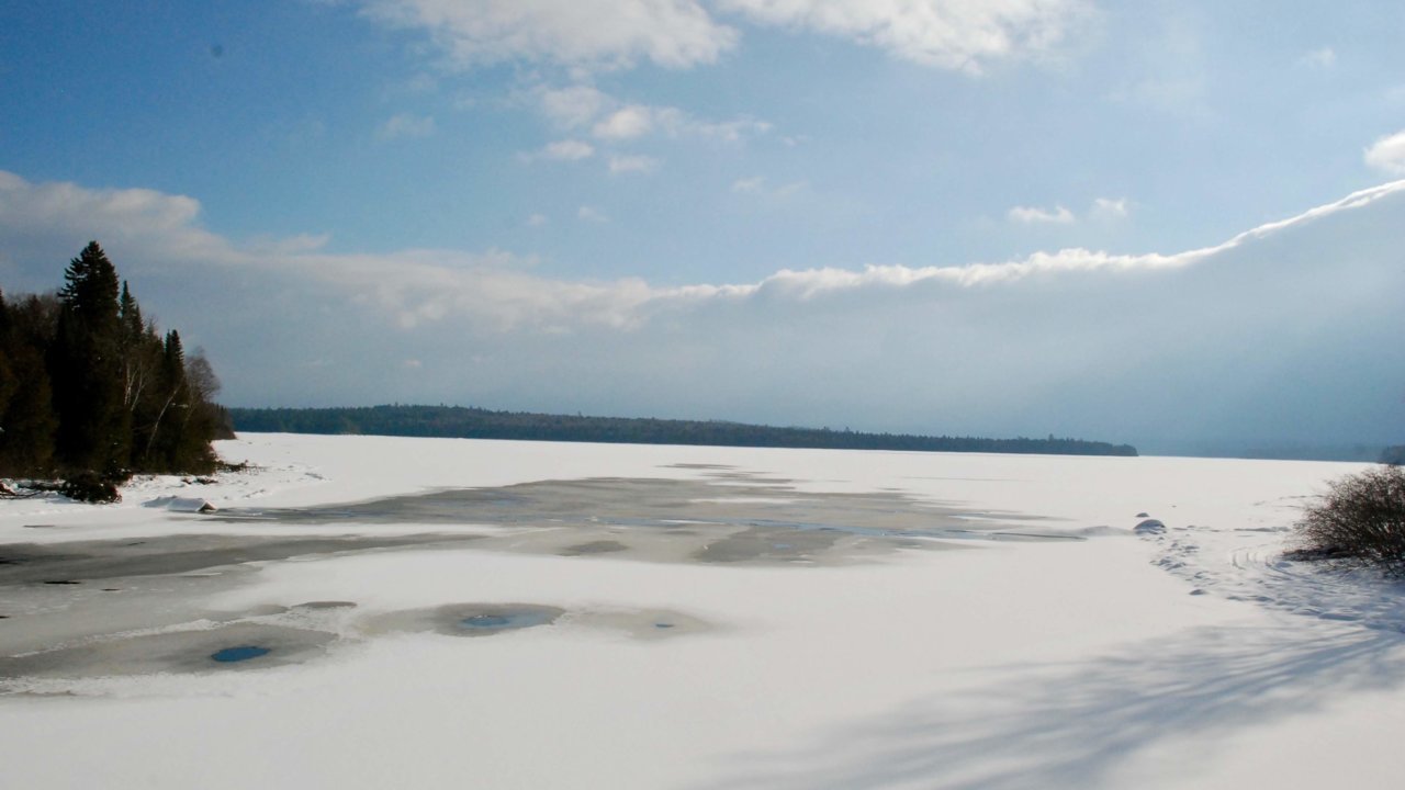 NWM_LS1-1.jpg