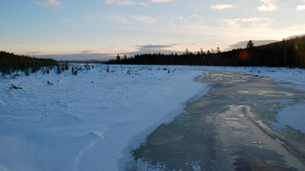 NWM_LS2-4.jpg