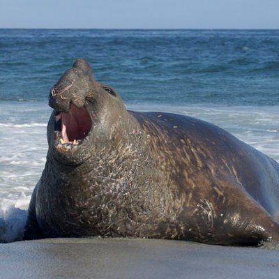 NXUGdWqE_400x400.jpg