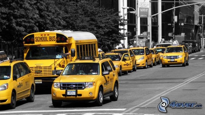 nyc-taxi,-rue-242168.jpg