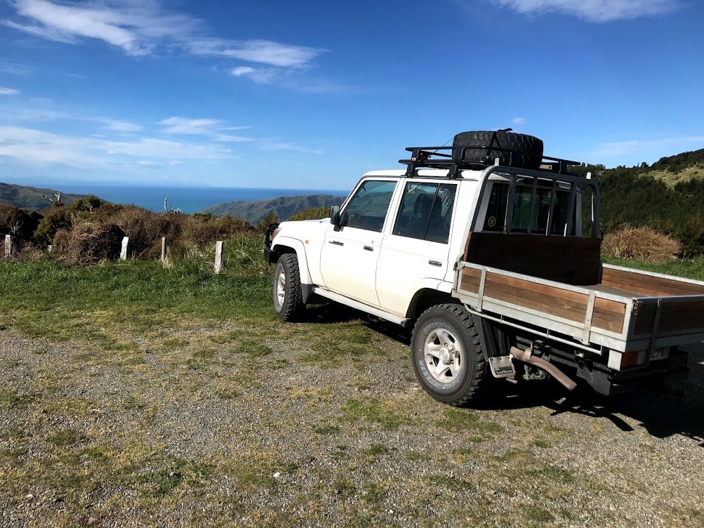 nz2.jpg