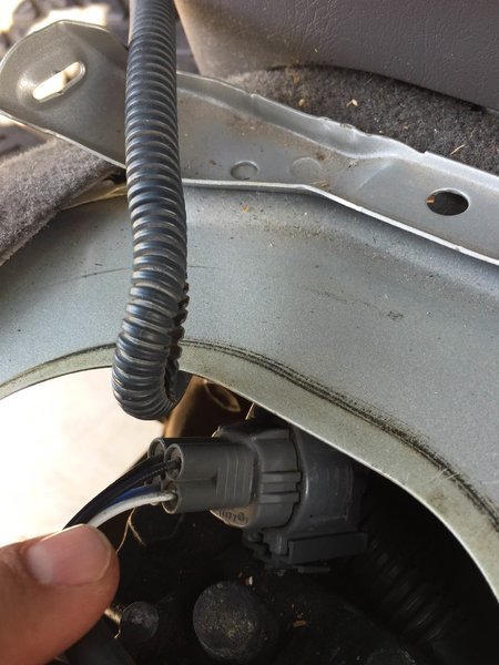 o2 sensor2.jpg