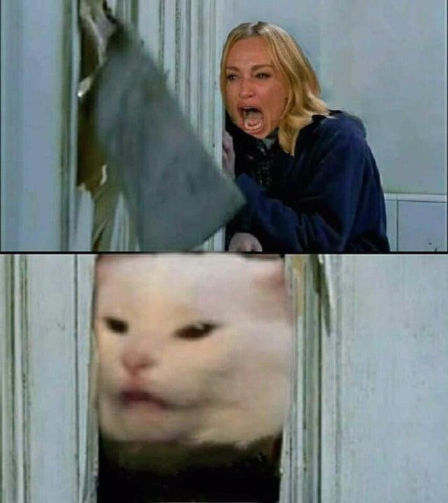 o6e5j7b2e4041.jpg