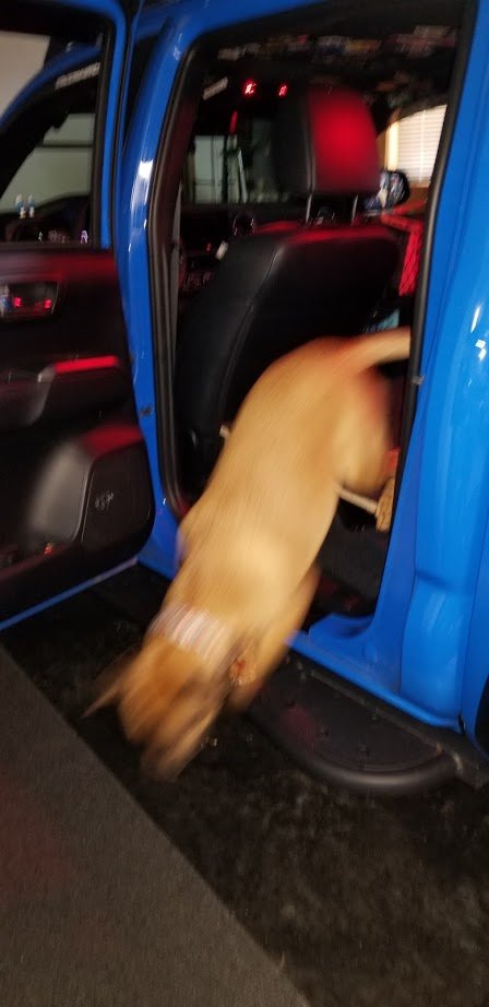 o_tSuucxS2XSxayZryPKML5_LN9FeQQwlsDSLVOF_02ac48c66c2309ee3d45a3719da3b849c6f3942a.jpg