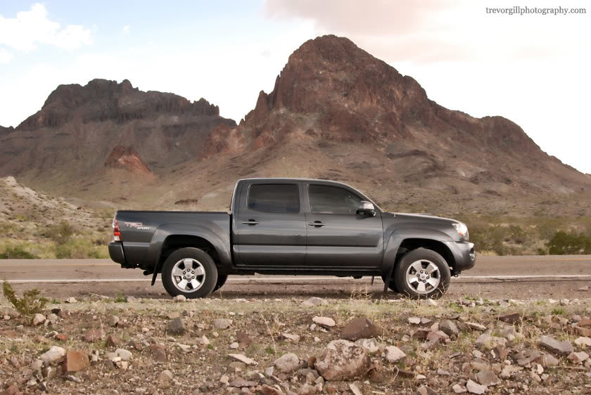 Oatman2010062_2e6c1d94894fbf6f2796572e8a71e7e68e52c014.jpg
