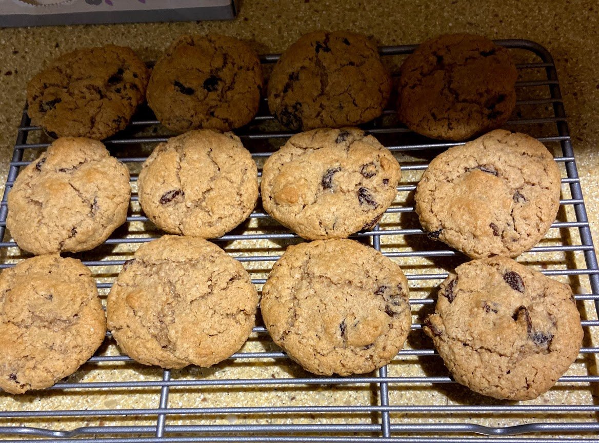 oatraisin_3690fb302cb4fb14288af69d8a64e1965eb265cc.jpg