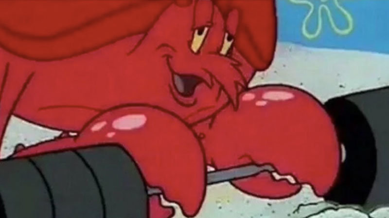 observe.jpg