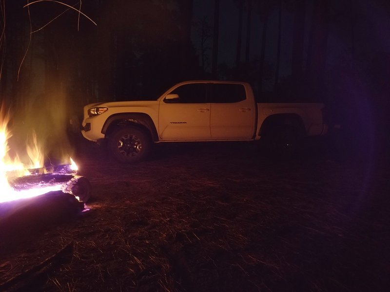Ocala_Taco.jpg