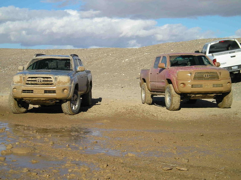 Ocotillo%20with%20CT%2012_13_08%20026.jpg