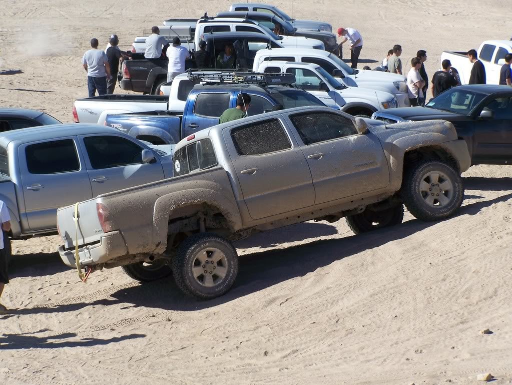 Ocotillo009_72324e1e22317756b7c7b24b190b4b2205adcc96.jpg