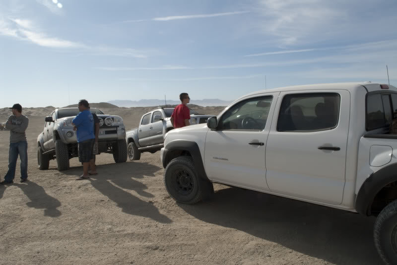 Ocotillo110709-31_c01b8de55e6b91a745e9884ca87cad4cc77a5414.jpg