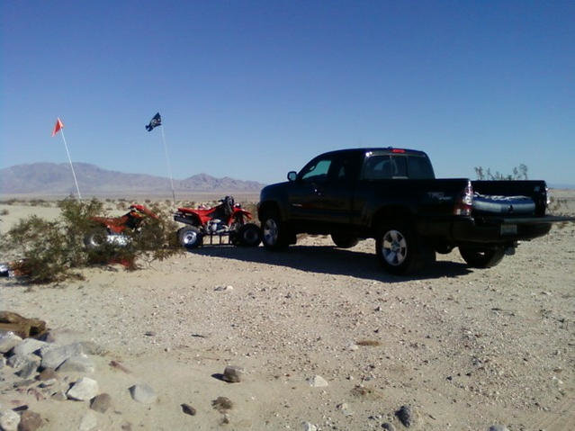 Ocotillo_Oct.jpg