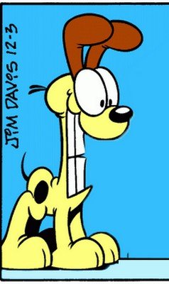 odie.jpg