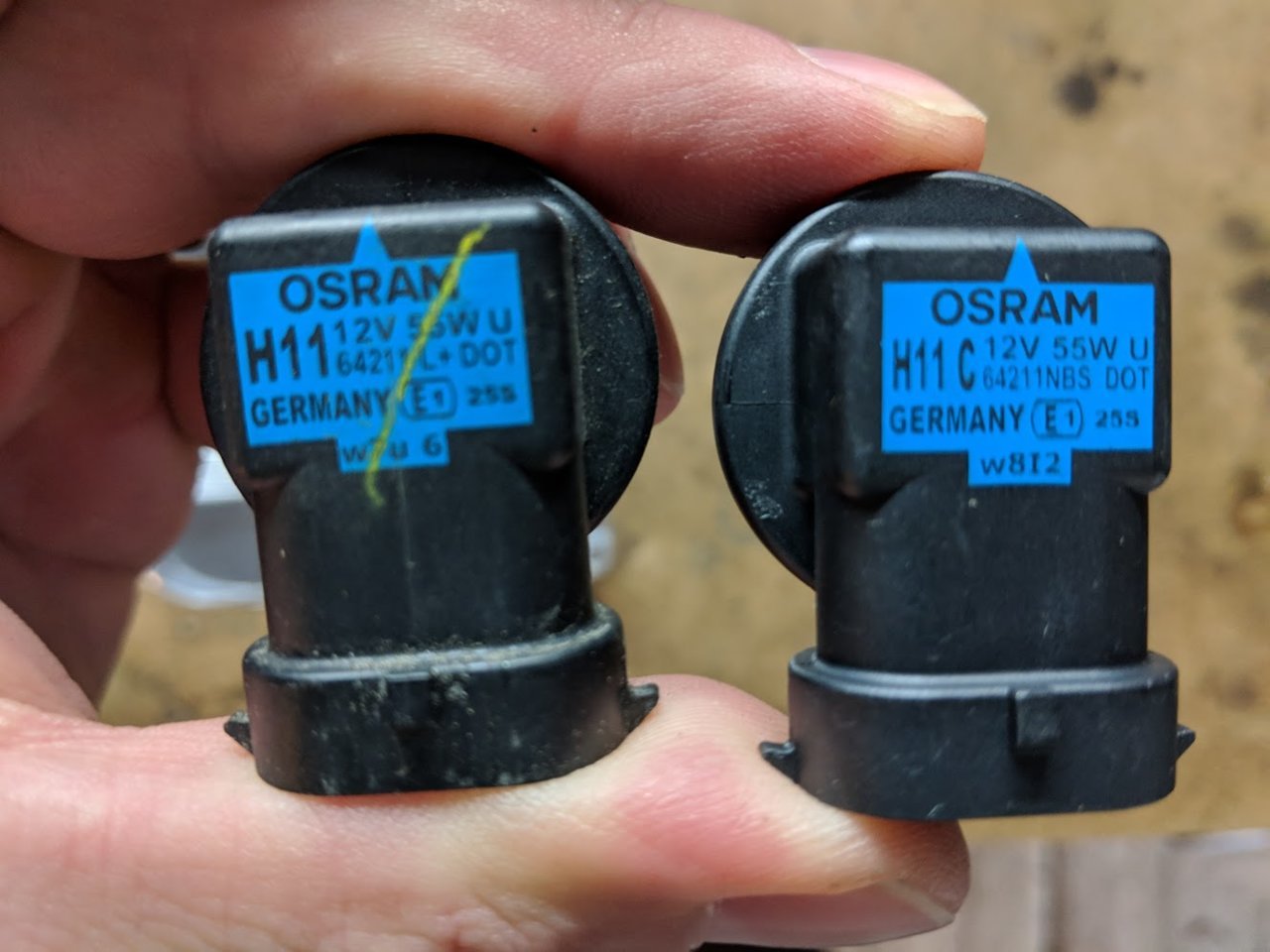 OEM & AM Osram.jpg